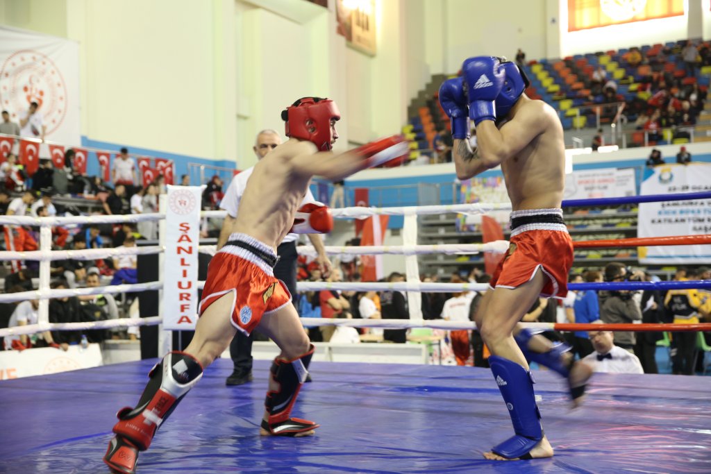 Türkiye Kick Boks Turnuvası, Şanlıurfa'da başladı