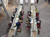 Şırnak'ta kurulan tesisler yer fıstığı üreticilerinin piyasadaki etkinliğini artırdı