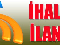 Araç kiralama hizmeti alınacaktır