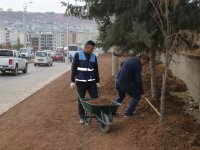 Kaymakam Tunç; “Yeşil Bir Gelecek ve Temiz Bir Cizre İçin Çalışıyoruz”