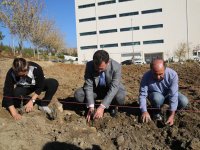 Şırnak Üniversitesi’nde Lavanta Fidesi Dikildi