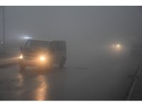 Şırnak'ta sis etkili oldu