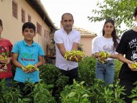 Okul bahçesinde yetiştirilen sebzeler ihtiyaç sahiplerine dağıtılıyor