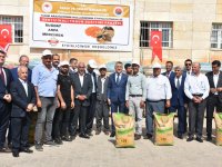 Şırnak'ta üreticilere tohum ve fide desteği