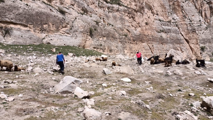 Siirt'te uçurumda ceset bulundu