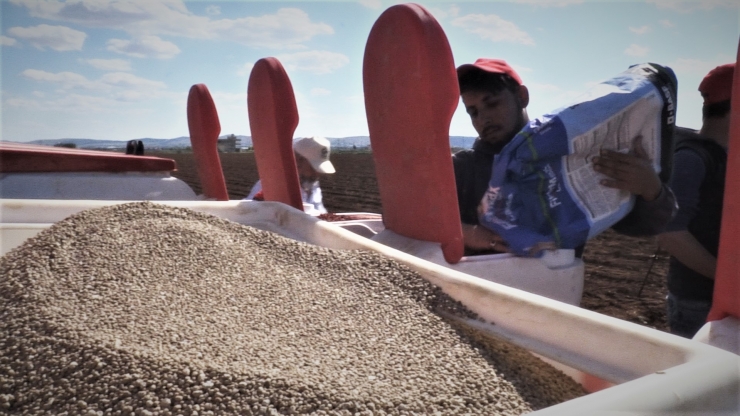 Şanlıurfa'da pamuk tohumları toprakla buluşuyor