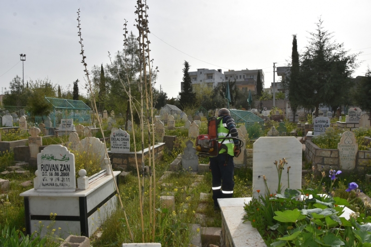 Nusaybin'de mezarlıklarda temizlik çalışması yapıldı