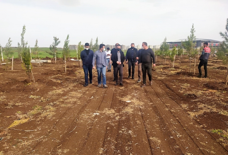 Kayapınar Kaymakamı Ünal Koç, yapımı devam eden projeleri yerinde inceledi