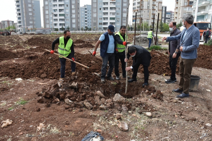 Bağlar Belediyesinden asfalt ve park çalışması