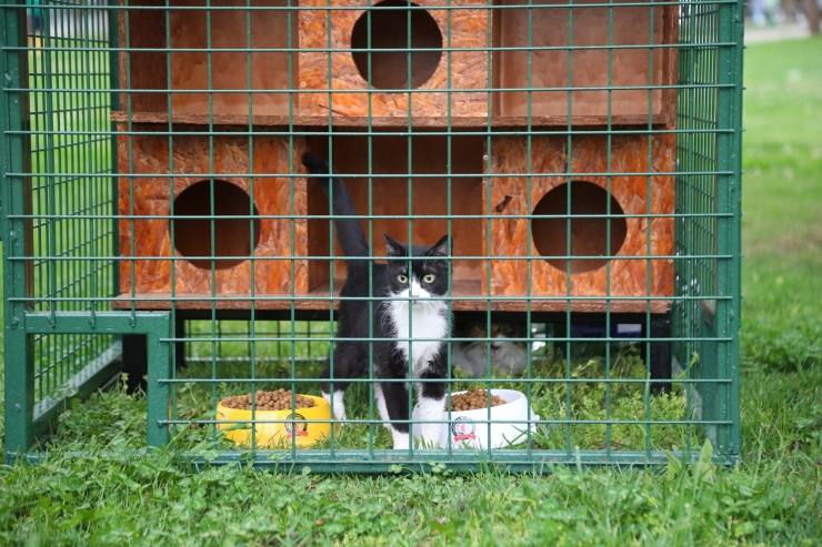 Gaziantep Büyükşehir Belediyesi, Hayri Tütüncüler Parkı'na yeni kedi evleri kurdu