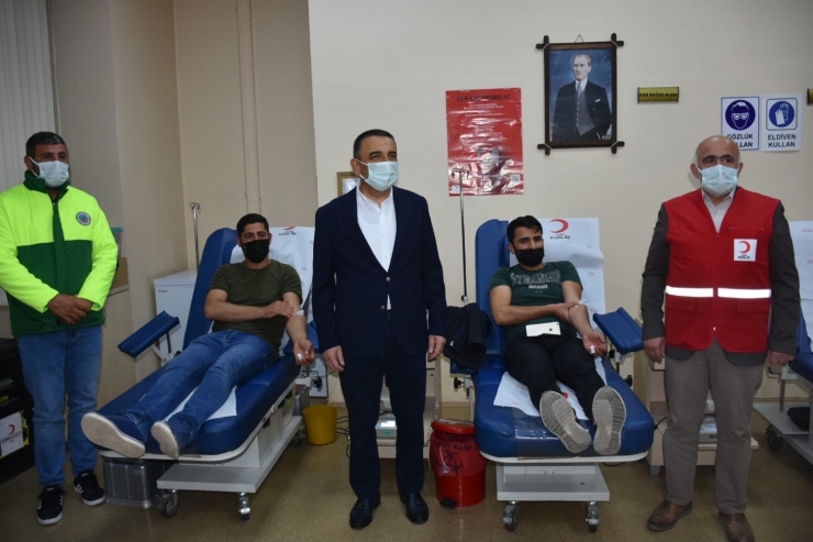 Siirt'te "Bir Ünite Kan Verene Bir Porsiyon Büryan Hediye"