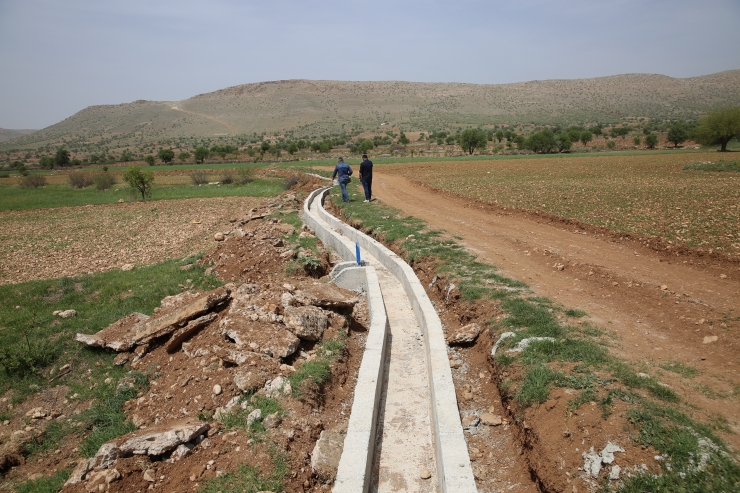 Mardin'te tarımsal kalkınmayı destekleyecek proje başladı