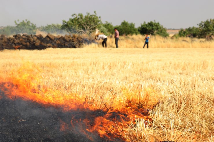 Gaziantep'te buğday ekili tarlalarda yangın çıktı