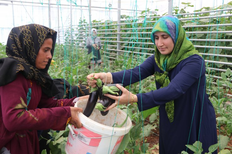 Türk ve Suriyeli kadınlar, kurdukları kooperatifle güçlerini birleştirdi