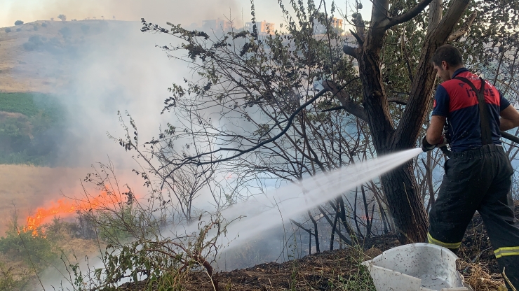 Adıyaman'da anız yangını ağaçlığa sıçradı, 50 dönüm alan zarar gördü