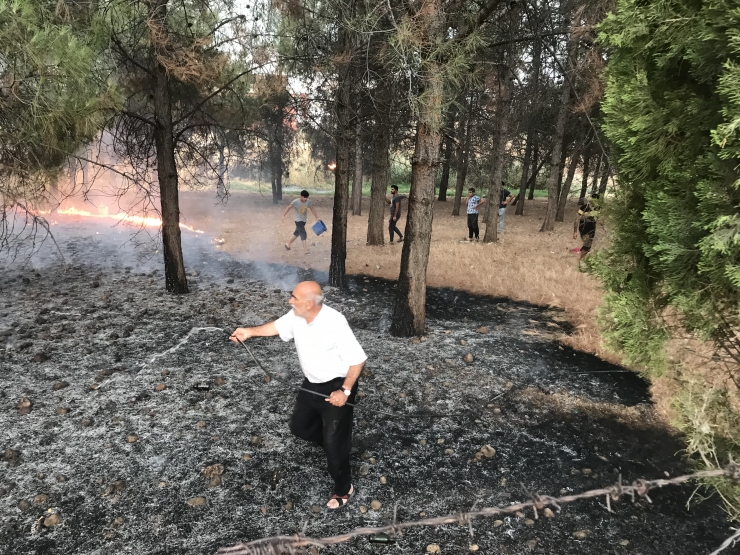 Adıyaman'da ormanlık alanda çıkan yangın söndürüldü