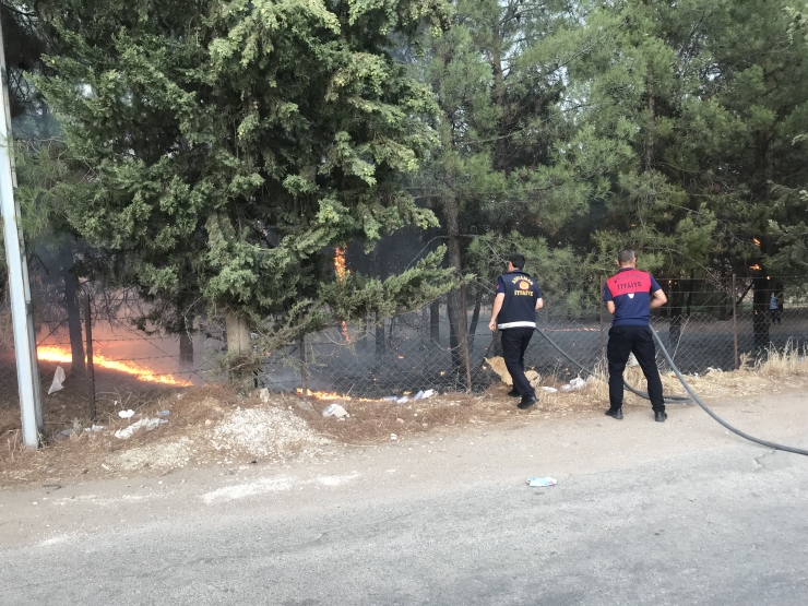 Adıyaman'da ormanlık alanda çıkan yangın söndürüldü