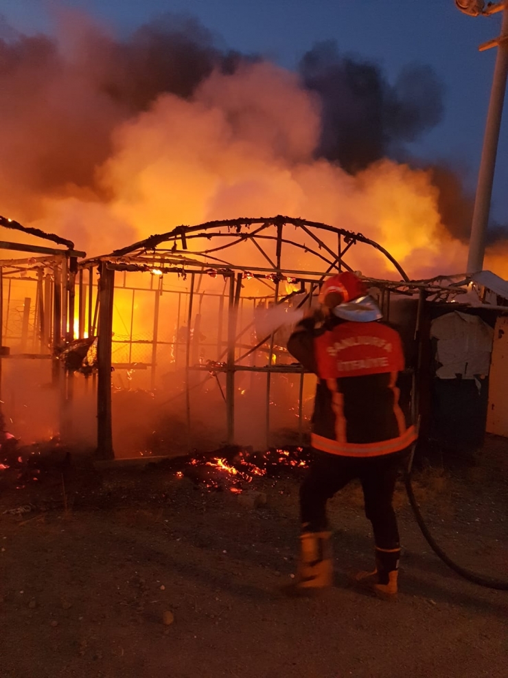 Şanlıurfa'da boş çadır kentte çıkan yangın itfaiye ekiplerince söndürüldü