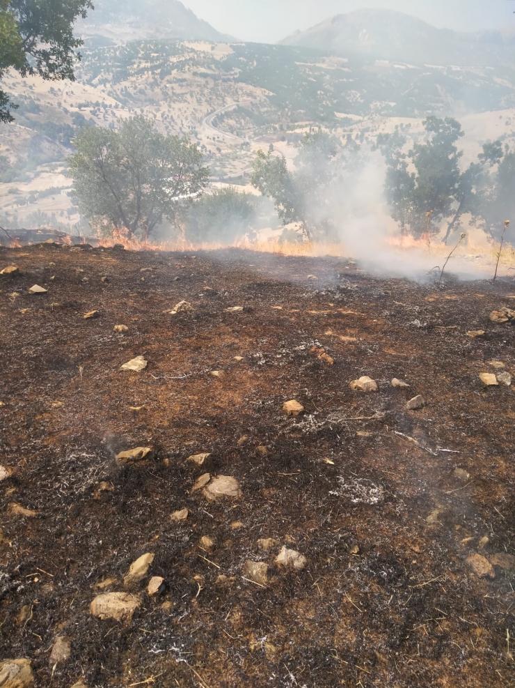Adıyaman'da örtü yangınında 20 hektarlık alan zarar gördü