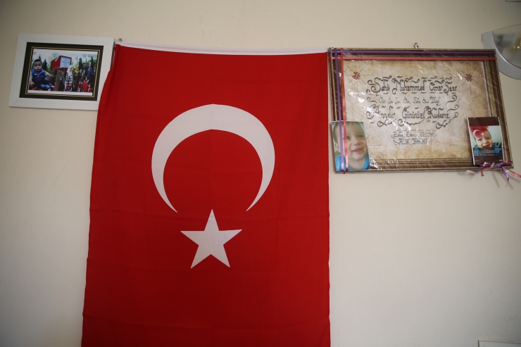 Barış Pınarı bölgesindeki huzur, şehit yakınlarının tesellisi oldu