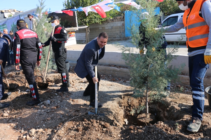 Kahta'da "Milli Ağaçlandırma Günü"nde topraklar fidanla buluştu