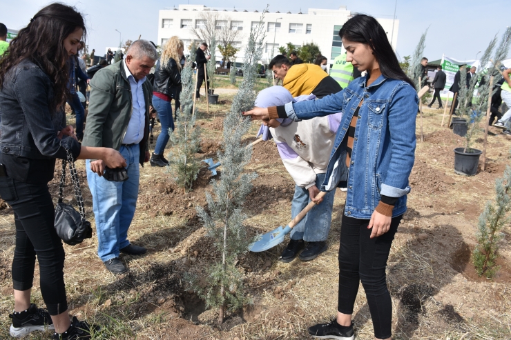 Şırnak'ta 56 bin fidan toprakla buluştu