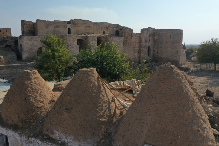 Harran Sarayı'nın 9 asırlık salonu gün yüzüne çıkarıldı