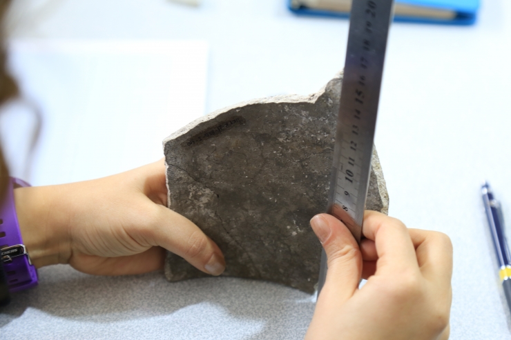 Hasankeyf kazılarında 3 bin yıl öncesine ait bulgulara ulaşıldı