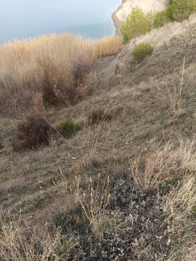 Adıyaman'da baraj suyunun çekilmesiyle 4 bin yıllık höyük ortaya çıktı