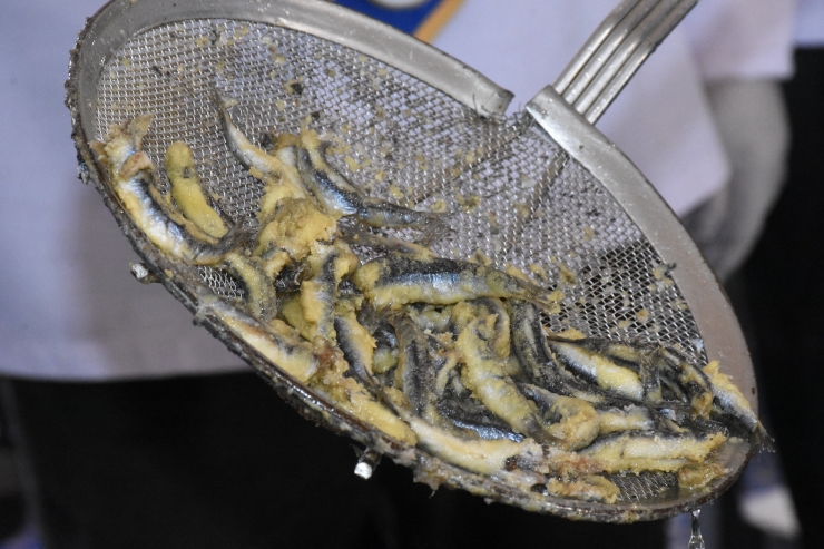 Şırnaklılara "Hamsi Günü" etkinliğinde 1,5 ton balık ikram edildi