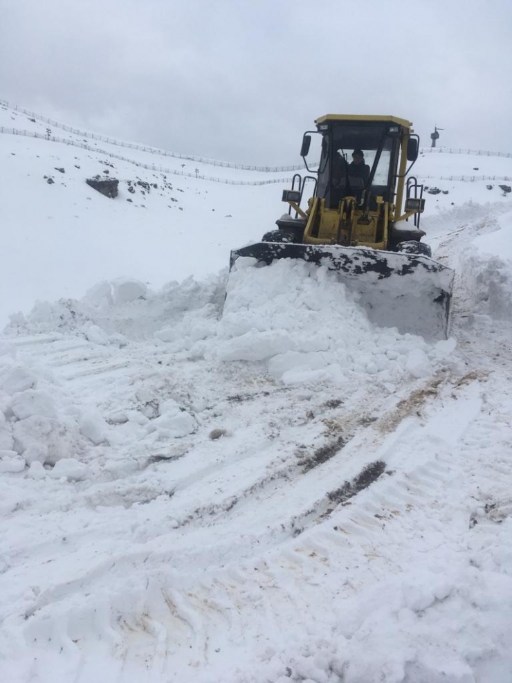 Şırnak'ta kar nedeniyle 12 köy ve 4 mezraya ulaşım sağlanamıyor