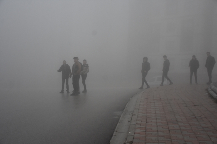 Şırnak'ta sis etkili oldu