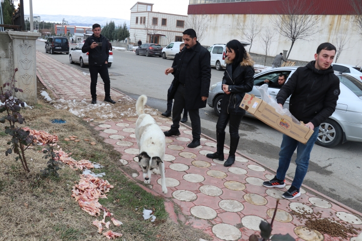 Batman'da sokak ve yaban hayvanları için doğaya yem bırakıldı