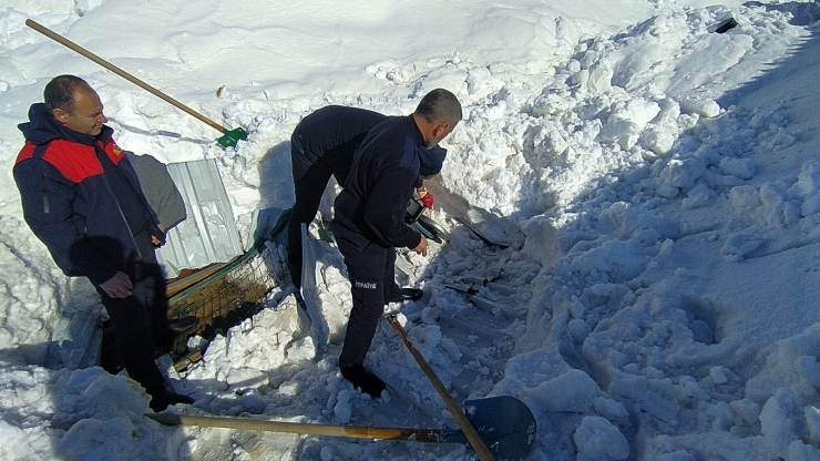 Adıyaman'da kar nedeniyle çöken çatının altında kalan köpekler kurtarıldı