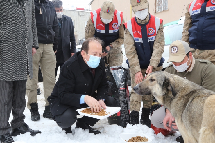 Şırnak'ta sokak ve yaban hayvanları beslendi