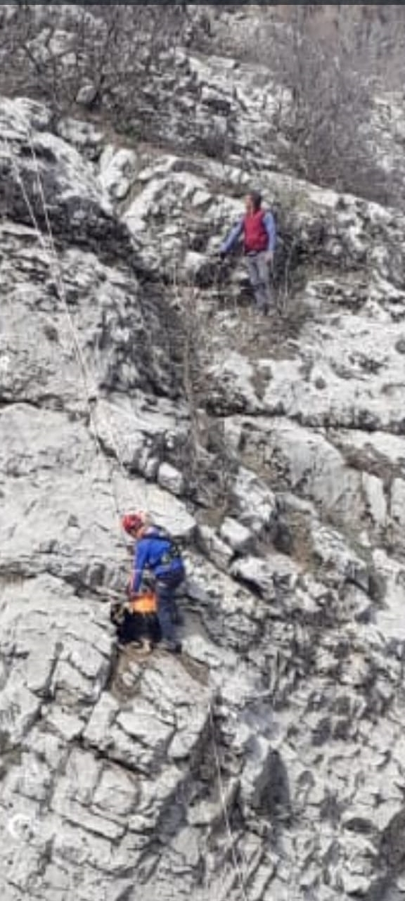 Adıyaman'da kayalıklarda mahsur kalan keçi AFAD ekiplerince kurtarıldı
