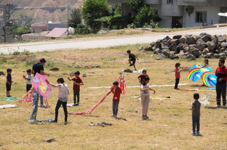 Cizre'de uçurtma şenliği