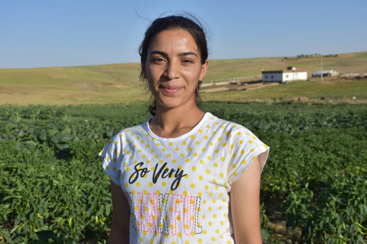 Şırnaklı genç, devlet desteğiyle atıl arazide 6 çeşit sebze ve meyve yetiştiriyor